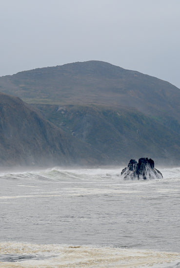High tide at Goat Rock Beach on the Sonoma Coast, 35 minutes from our Estate Vineyard Wine tasting room.
