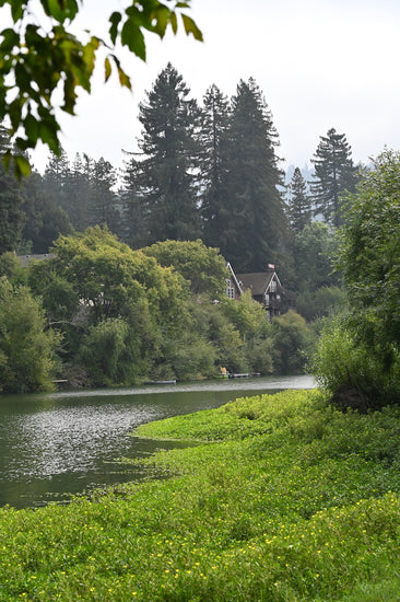 Russian River at Monte Rio, 30 minutes from our West Sonoma County Estate Vineyard winery.
