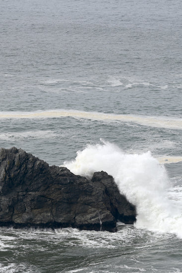 Waves crashing on jagged rocks at Goat Rock beach, 35 minutes from our Estate Vineyard wine tasting room.