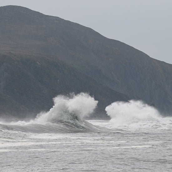Our Sonoma Coast vineyards and wine tasting room is a short drive from Goat Rock, near the mouth of the Russian River.