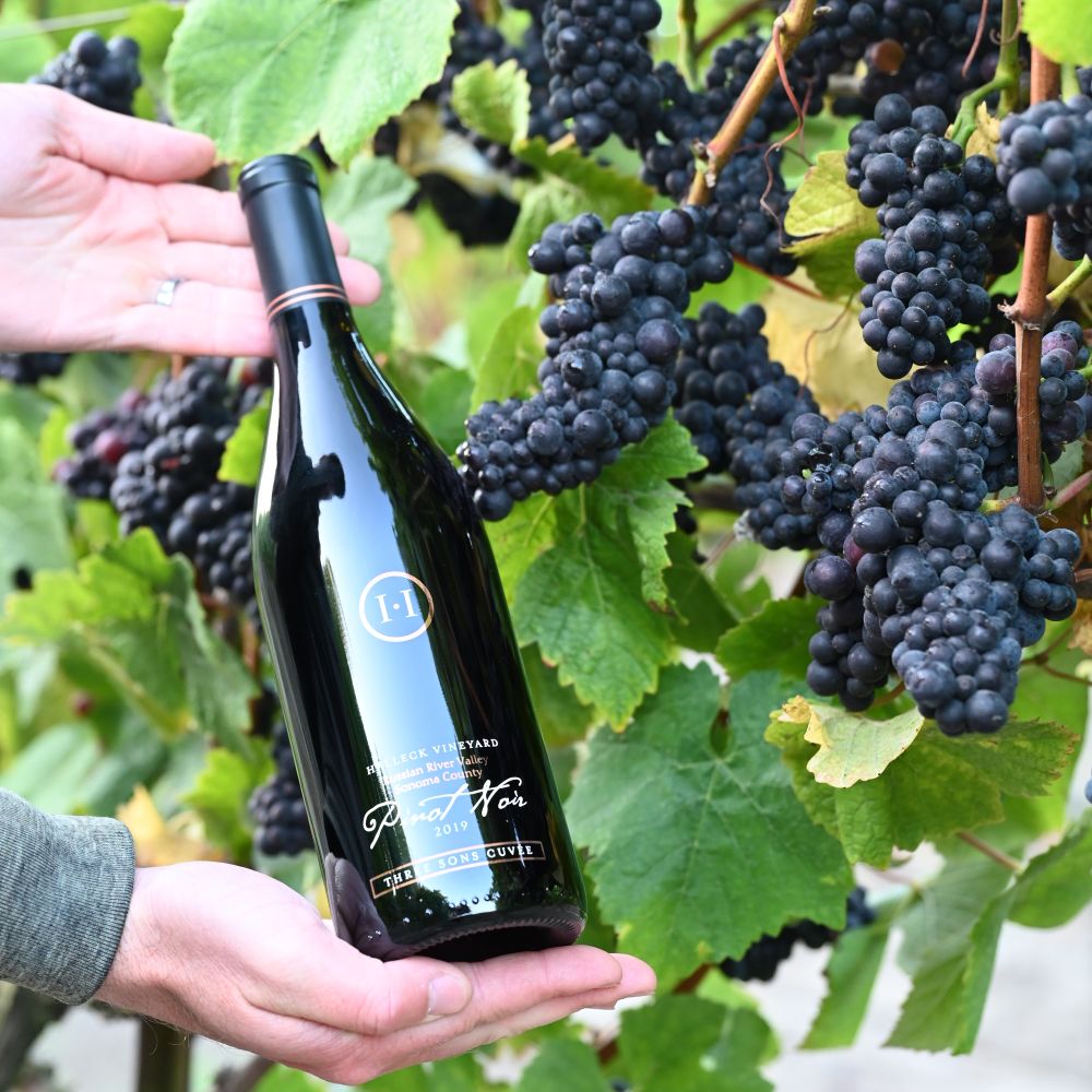 Pinot Noir Russian River Three Sons Cuvee, 2021 – Halleck Vineyard