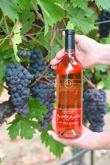 A bottle of our Dry White Zinfandel, which we call "Not Your Mother's" in our Russian River Vineyard with grapes for the 2023 harvest..