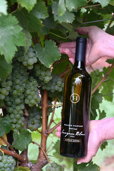 A bottle of our Little Sister Russian River Valley Sauvignon Blanc in the vineyard where our grapes are grown.