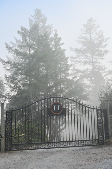 Morning fog seen through the gate at our Sebastopol Hills Estate Vineyard Winery.