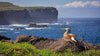 Galapagos Adventure