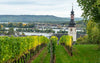 RIVER CRUISE FOR WINE LOVERS