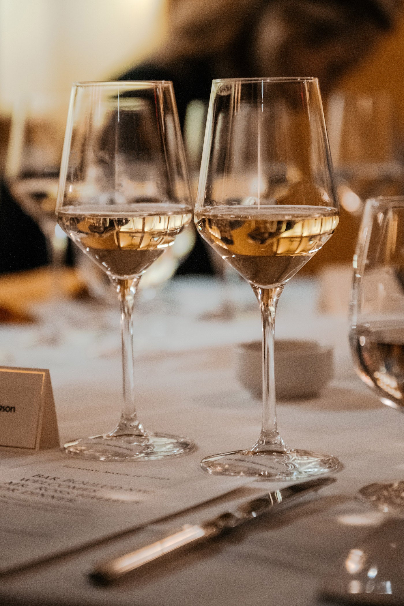 Wine Tasting in Sebastopol : What to Expect