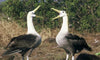 GALAPAGOS AND AMAZON ADVENTURE